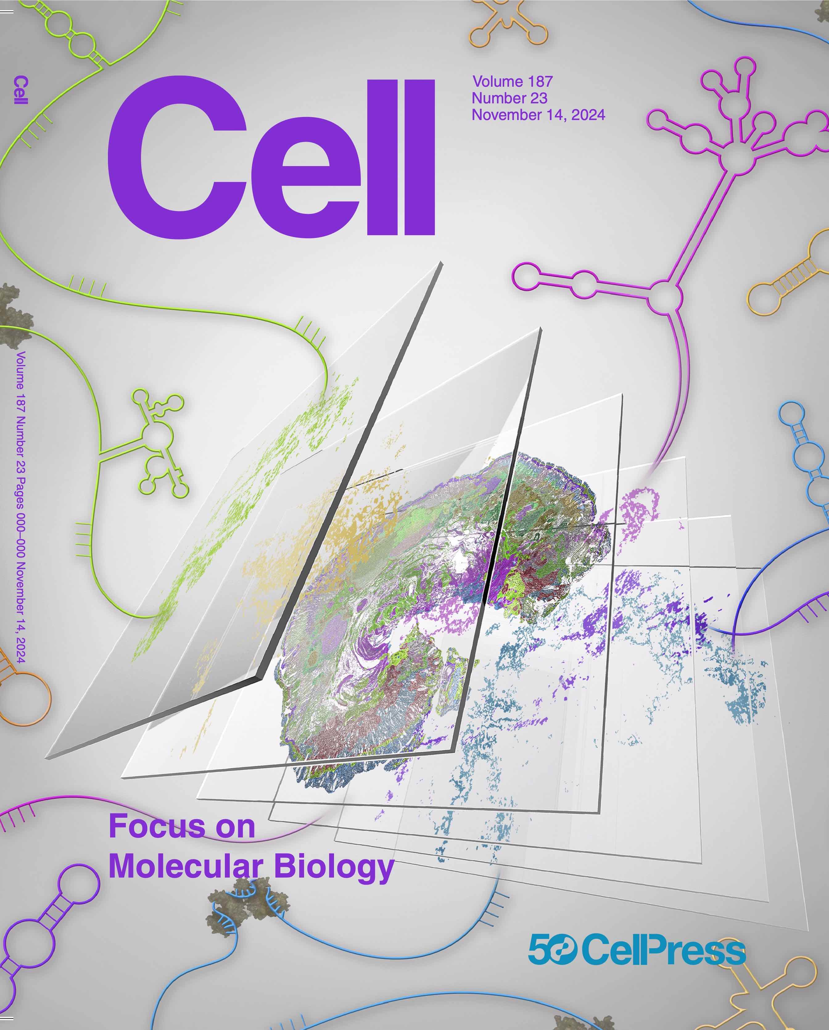 Publication_23_2024 Cell Cover.jpg